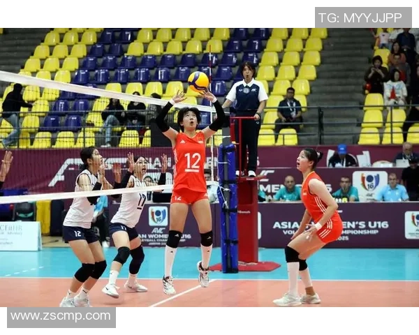 南京排球队荣登全国排球比赛经验排行榜首位引发热议